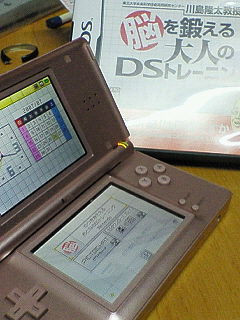 DS Lite